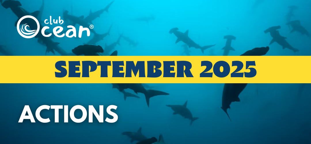 SEPTEMBER 2025 -ClubOcean® Actions