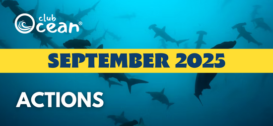 SEPTEMBER 2025 -ClubOcean® Actions