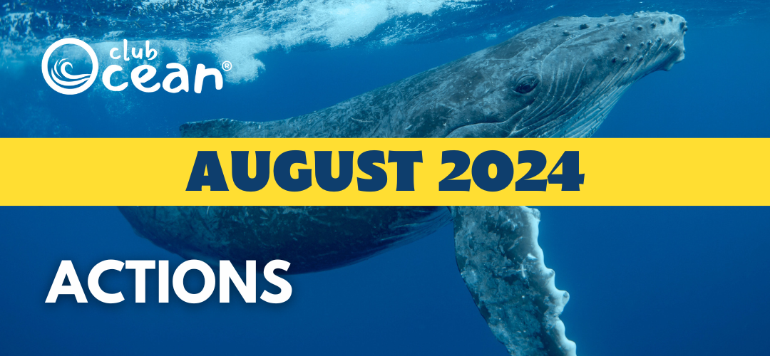 AUGUST 2024 - ClubOcean® Actions