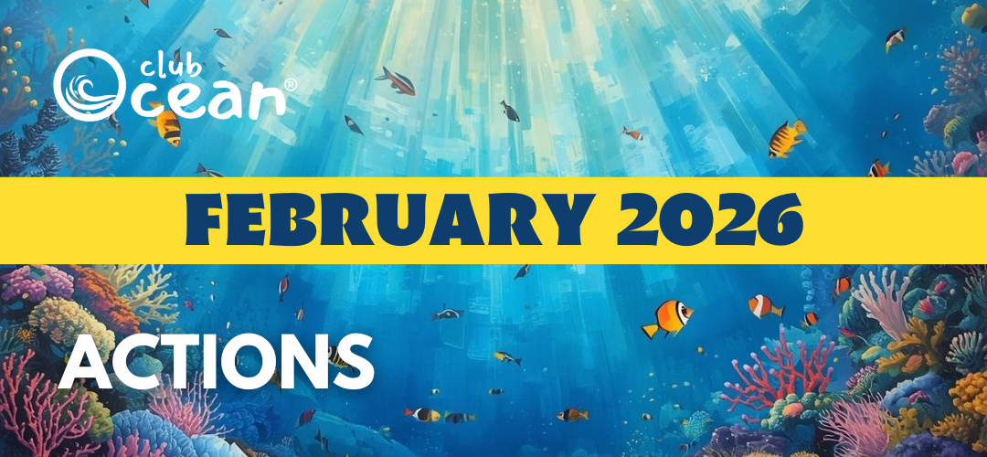 FEBRUARY 2026-ClubOcean® Actions