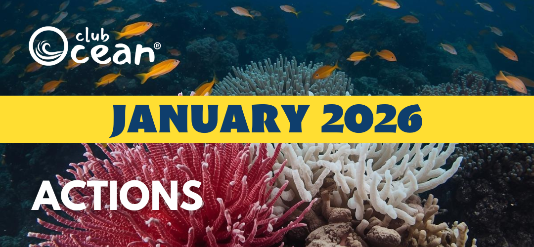 JANUARY 2026-ClubOcean® Actions