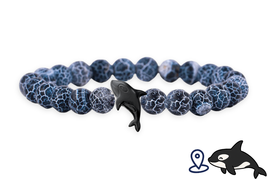 Orca Tracking Bracelet