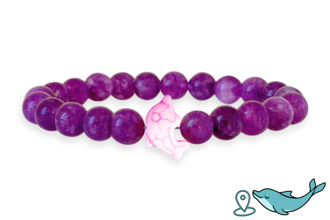 Dolphin Tracking Bracelet