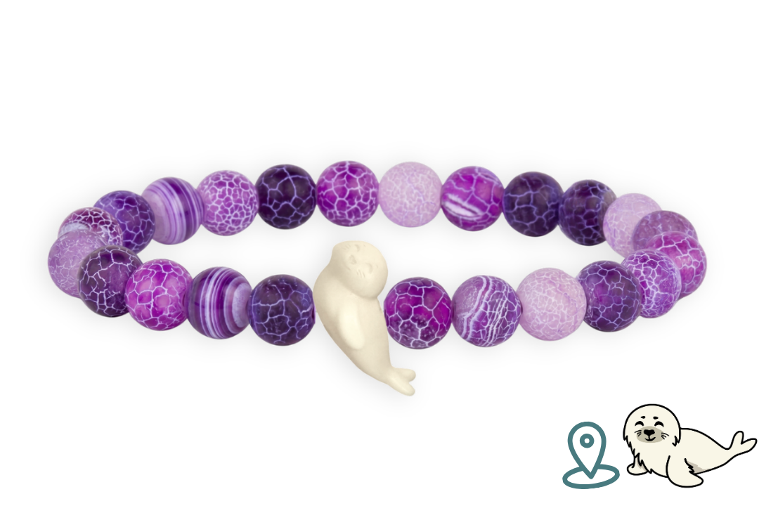 Seal Tracking Bracelet