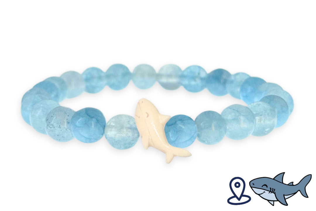 Shark Tracking Bracelet