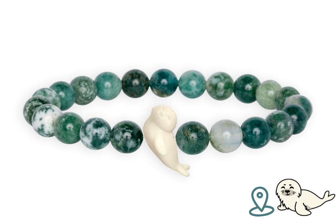 Seal Tracking Bracelet