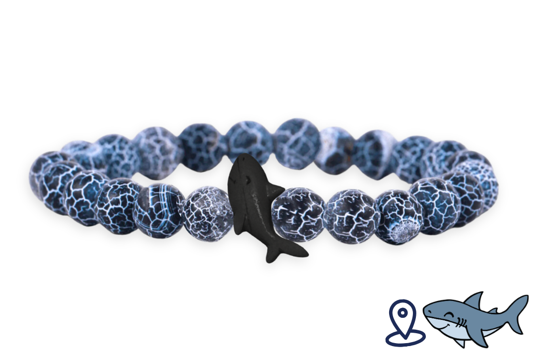 Shark Tracking Bracelet
