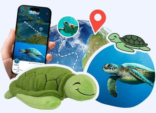 Turtle Adoption Plushie