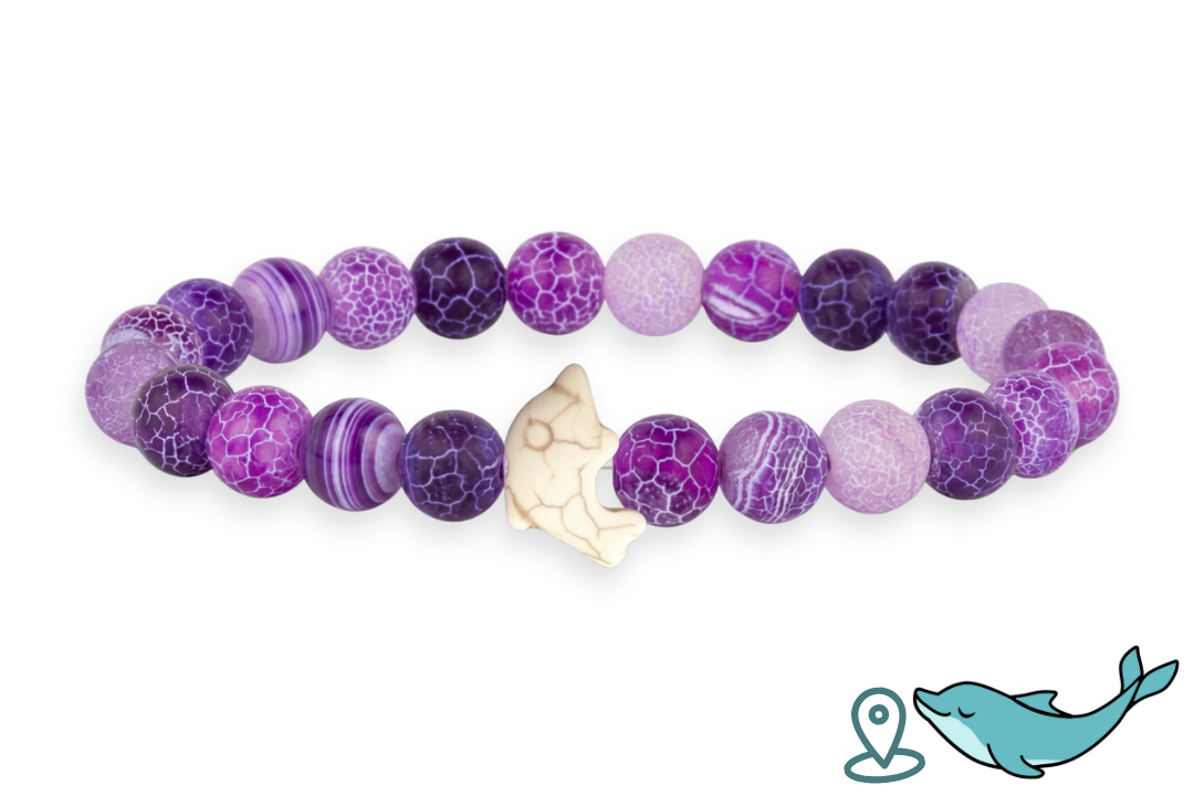 Dolphin Tracking Bracelet