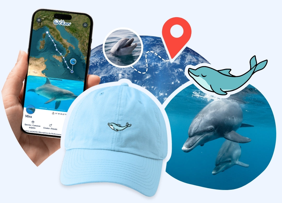 Dolphin Adoption Cap