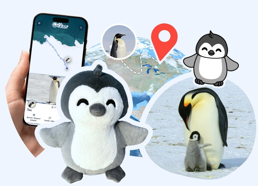 Penguin Adoption Plushie