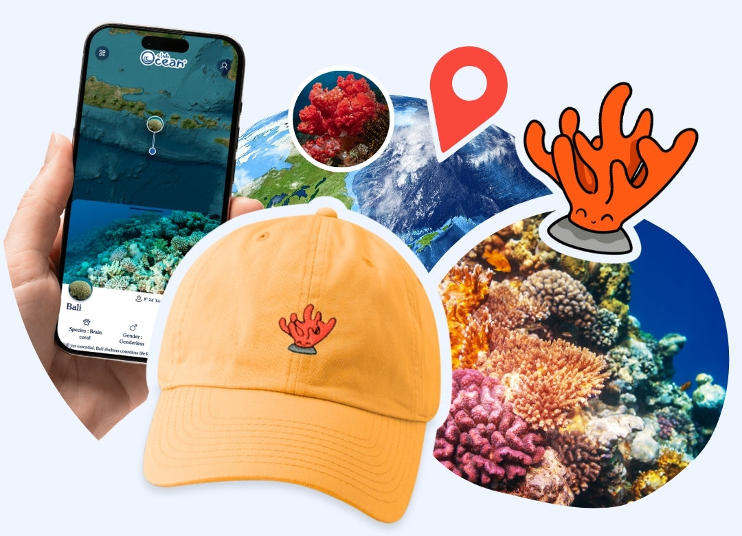 Coral Adoption Cap