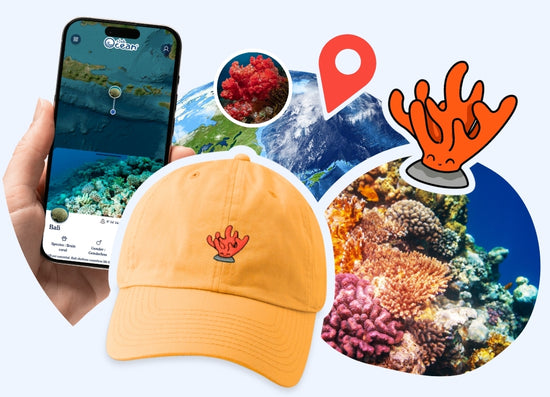 Coral Adoption Cap