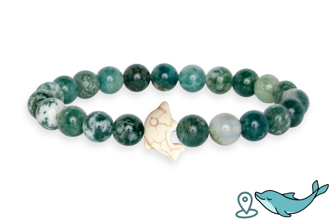 Dolphin Tracking Bracelet