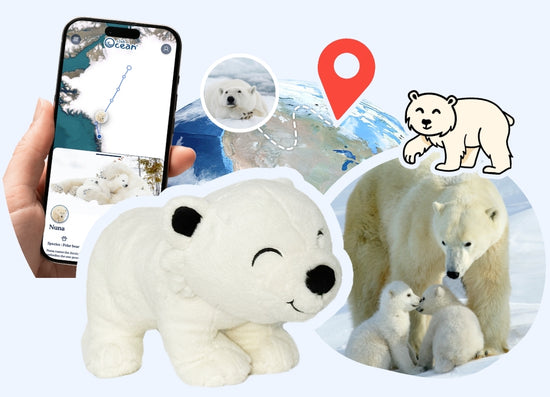 Polar Bear Adoption Plushie