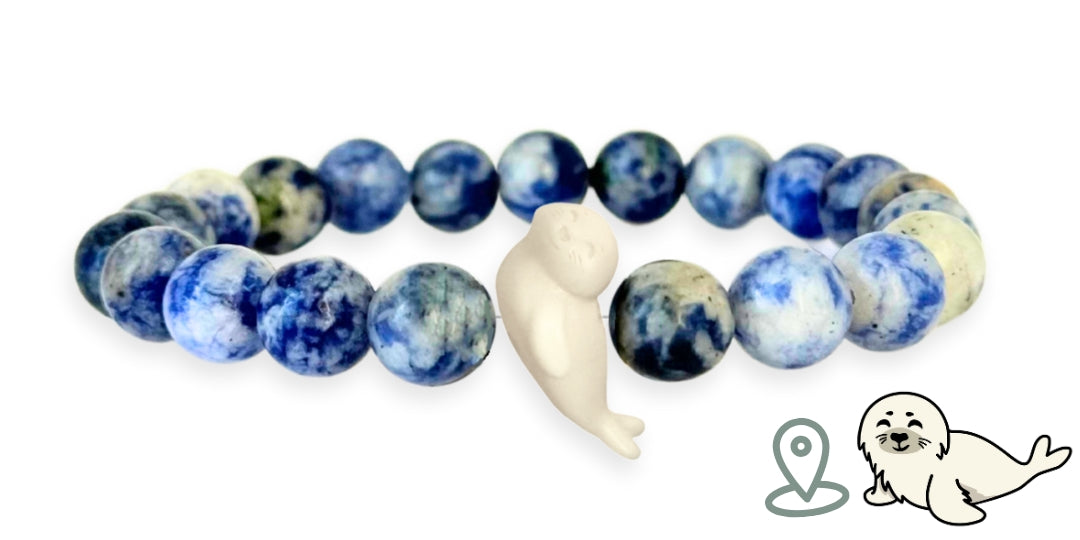 Seal Tracking Bracelet