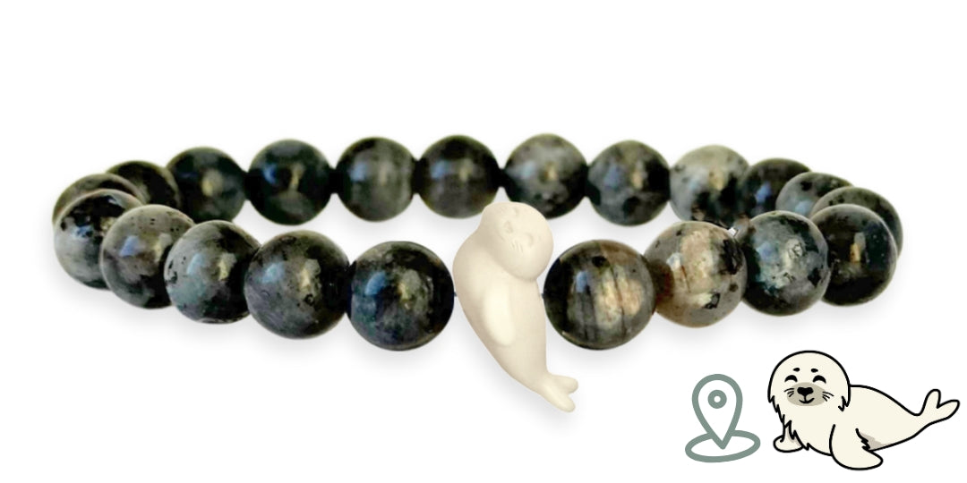 Seal Tracking Bracelet