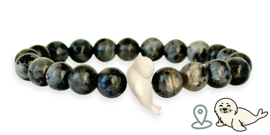 Seal Tracking Bracelet