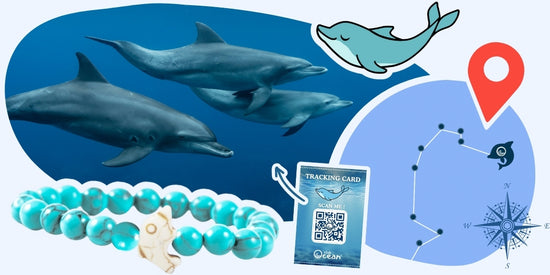 Dolphin Tracking Bracelet