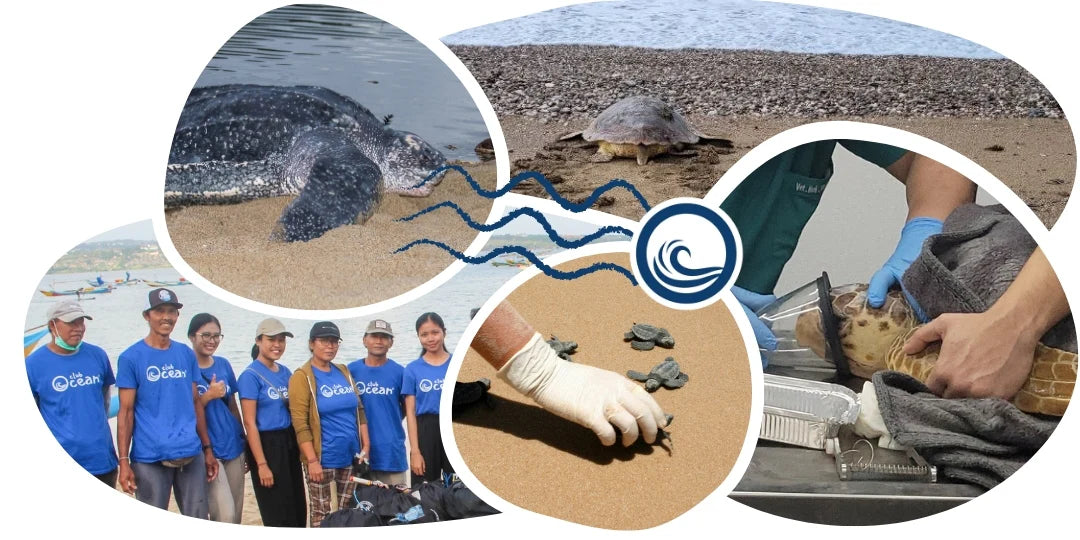 Animal Tracking Bracelet 💕