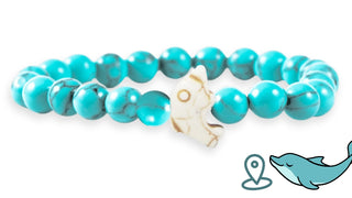 Dolphin Tracking Bracelet