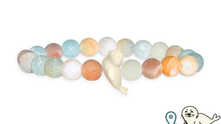Seal Tracking Bracelet