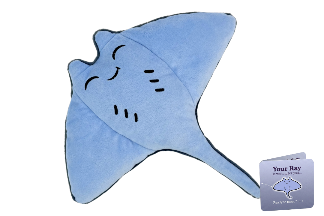 Ray Adoption Plushie
