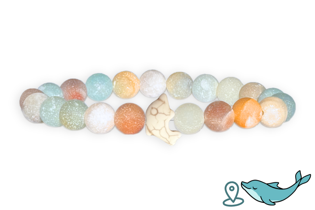 Dolphin Tracking Bracelet