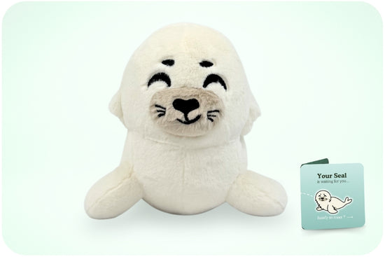 Seal Plushie