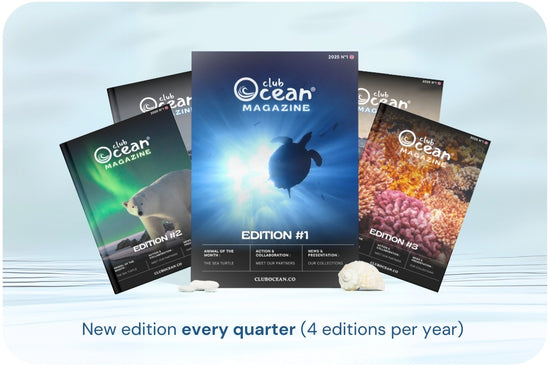 ClubOcean Magazine - Subscription