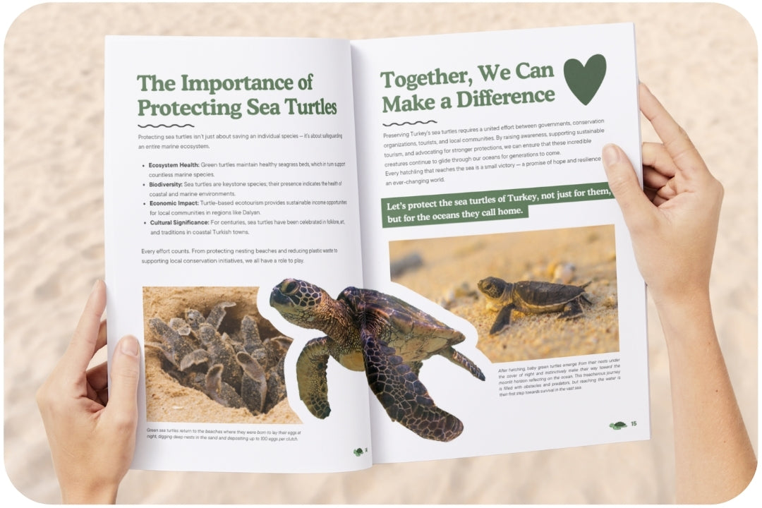 ClubOcean Magazine - Subscription