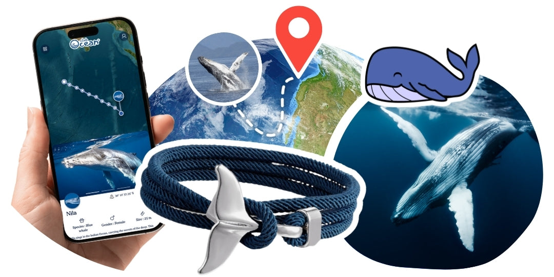 Whale Tracking Bracelet