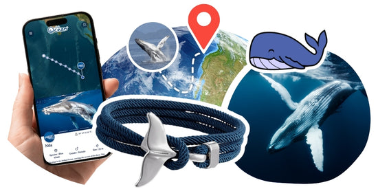 Whale Tracking Bracelet