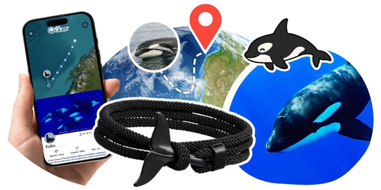 Orca Tracking Bracelet