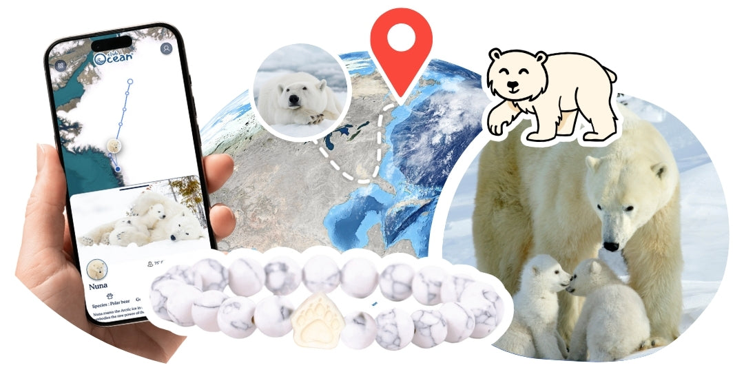 Polar Bear Tracking Bracelet
