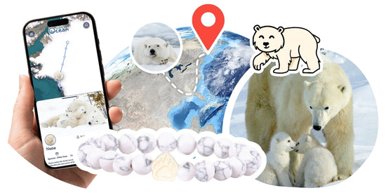 Polar Bear Tracking Bracelet