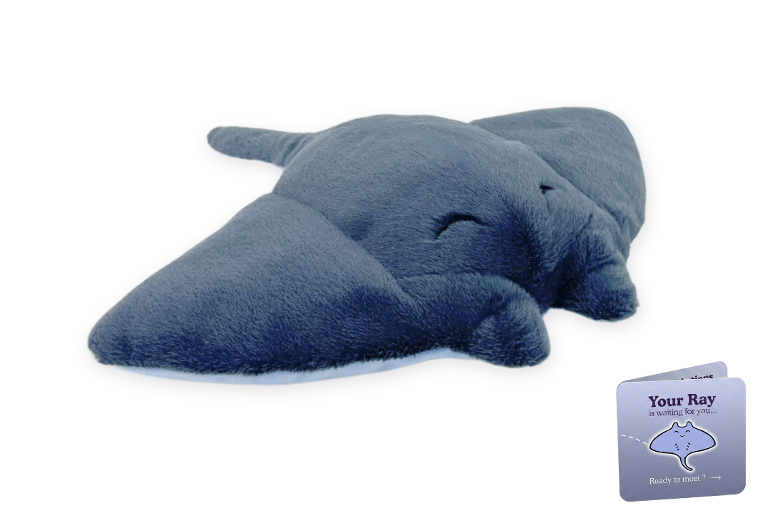 Ray Adoption Plushie