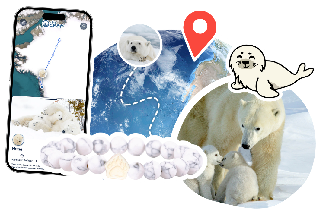 Polar Bear Adoption Plushie