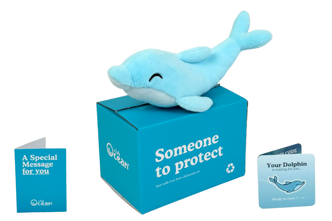 Dolphin Plushie