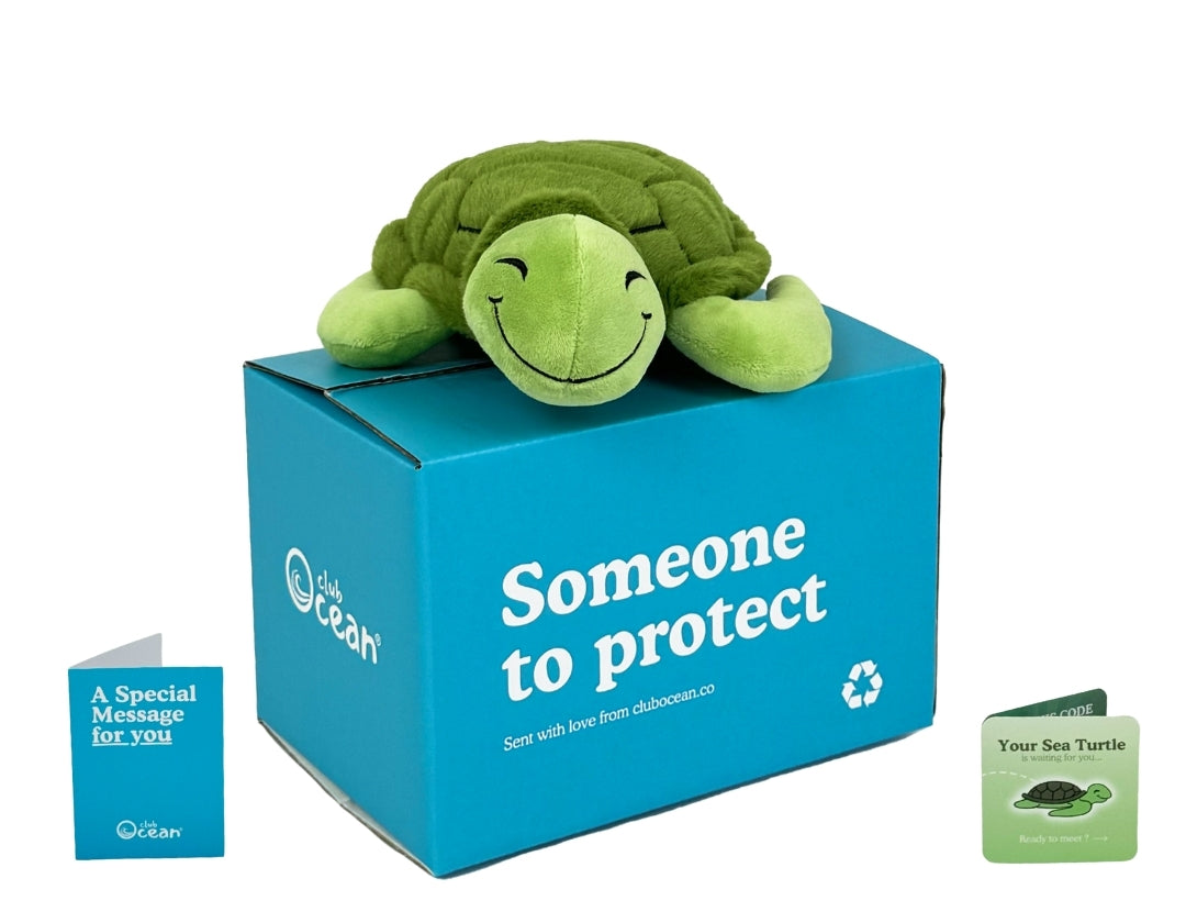 Turtle Plushie