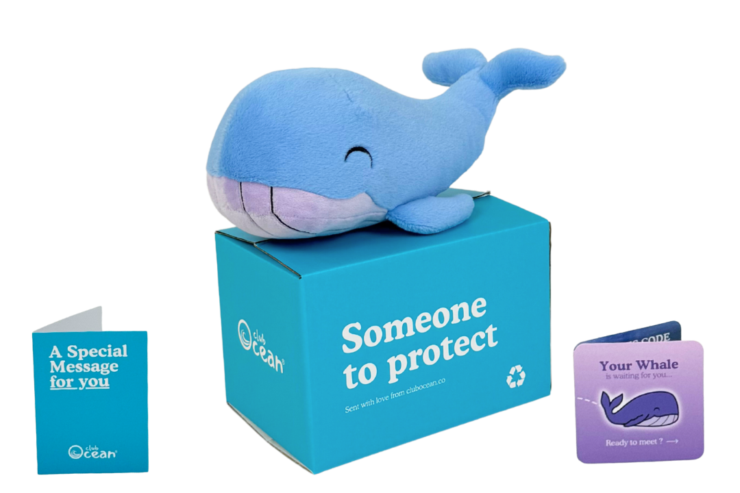 Whale Plushie