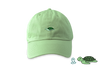 Turtle Adoption Cap