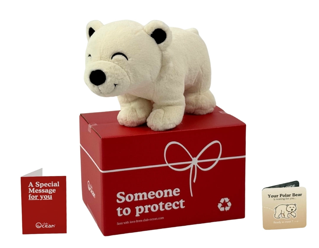 Polar Bear Plushie