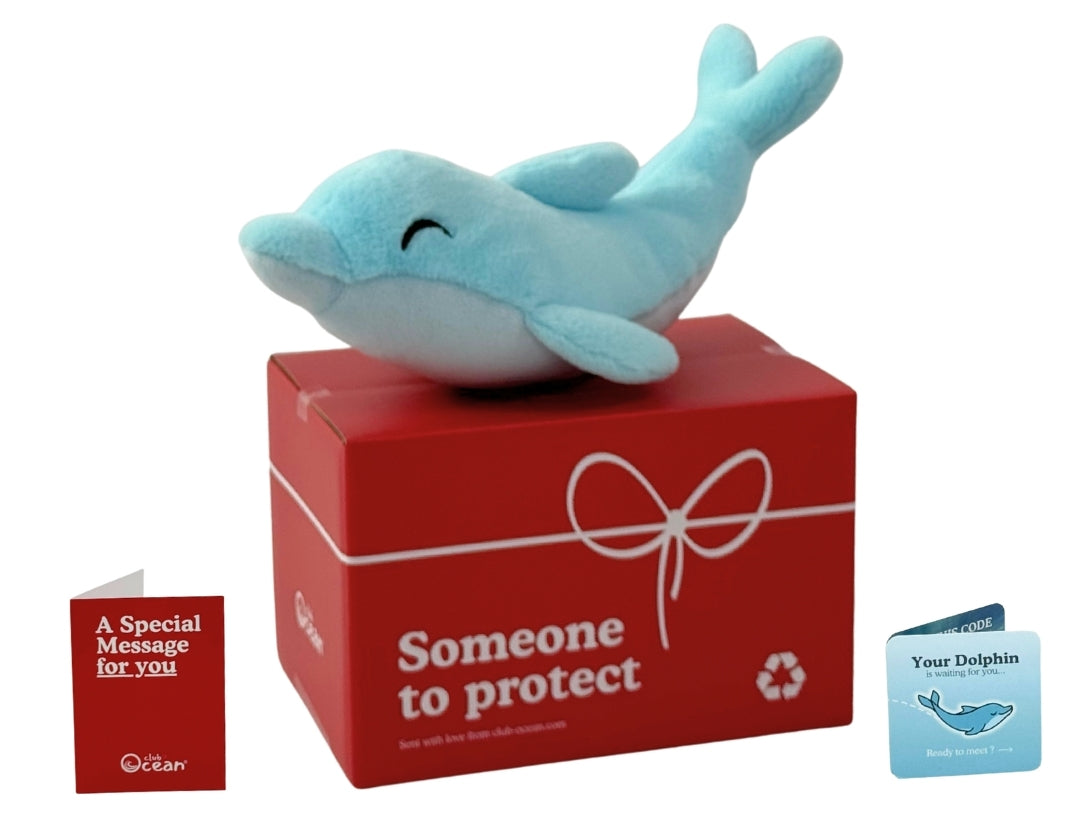Dolphin Plushie