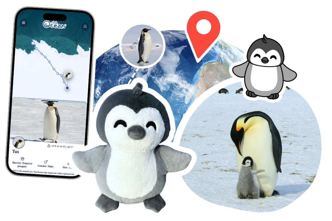 Penguin Plushie