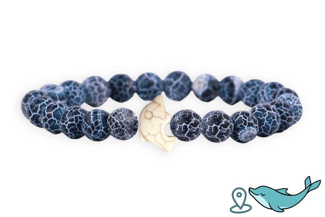 Dolphin Tracking Bracelet