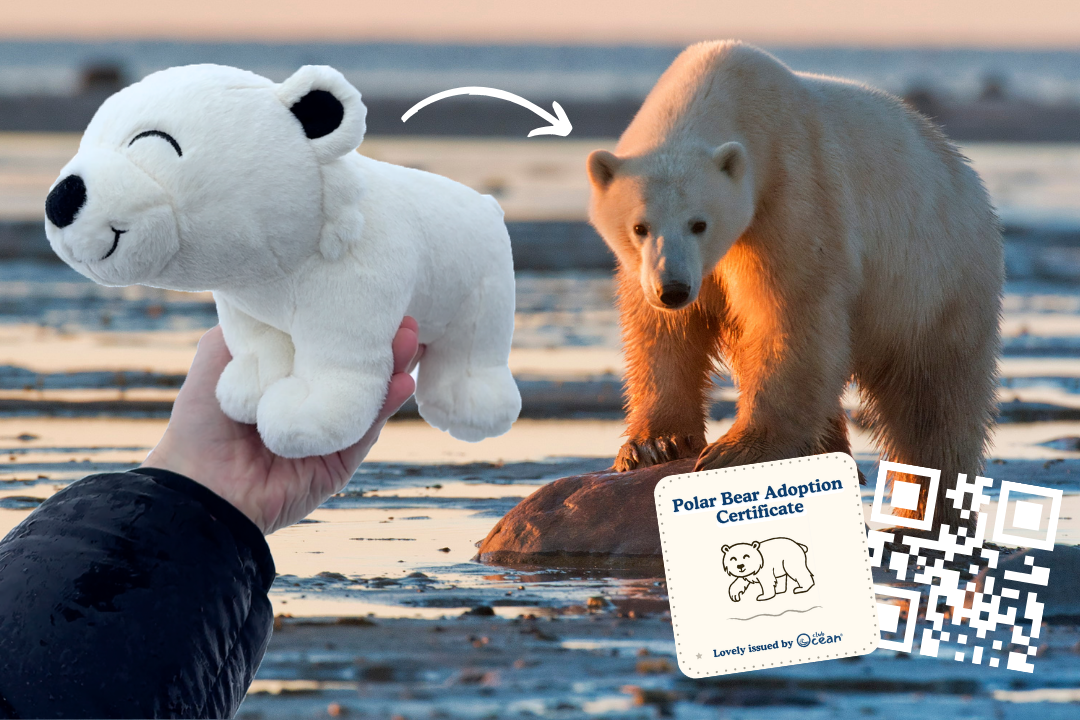 Polar Bear Adoption Plushie