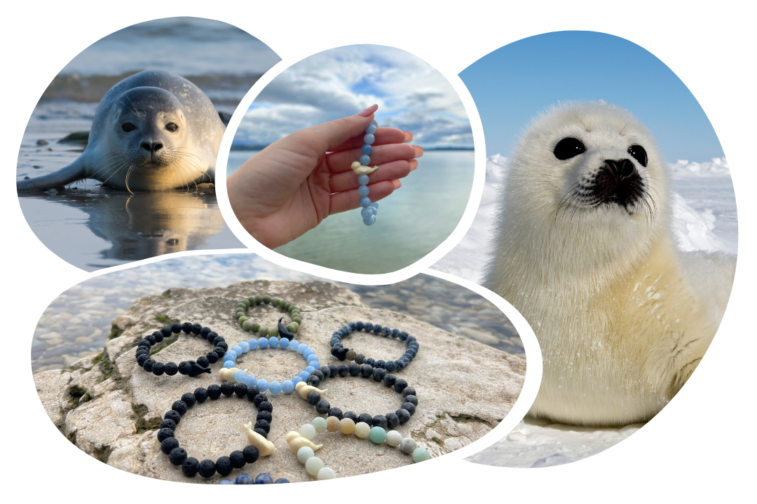 Seal Tracking Bracelet