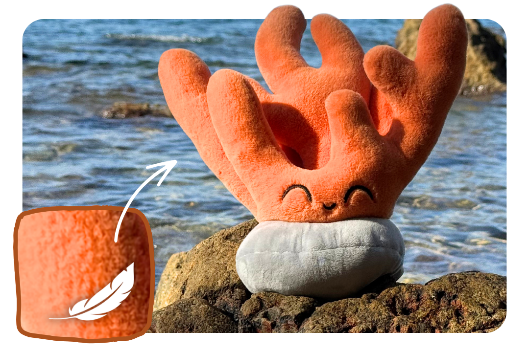 Coral Adoption Plushie
