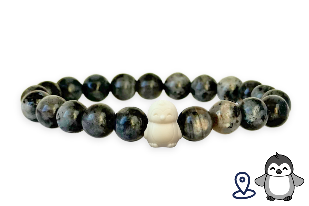 Penguin Tracking Bracelet